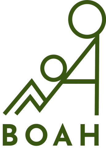 01_Logo_BOAH3_ElisaOtto_grün